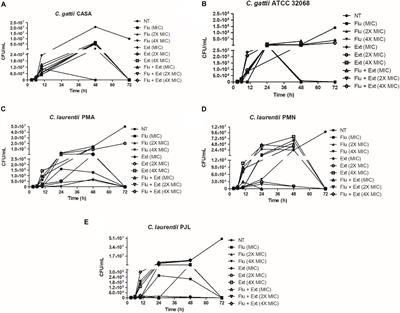 A Study of the Disruptive Effect of the Acetate Fraction of Punica granatum Extract on Cryptococcus Biofilms